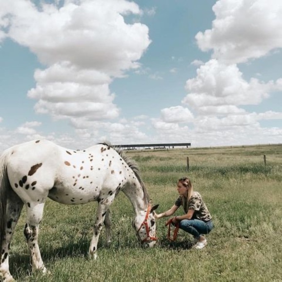 Meet your Posher, Raeanne - Picture 1 of 1